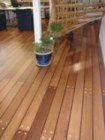 foto 51